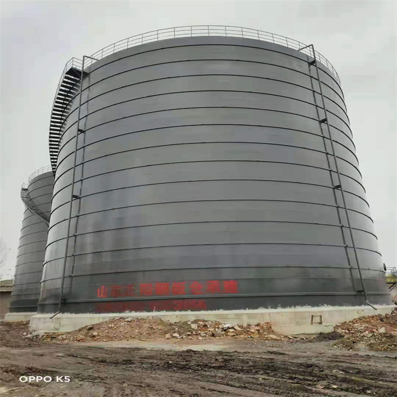 肥城3万吨大型钢板库