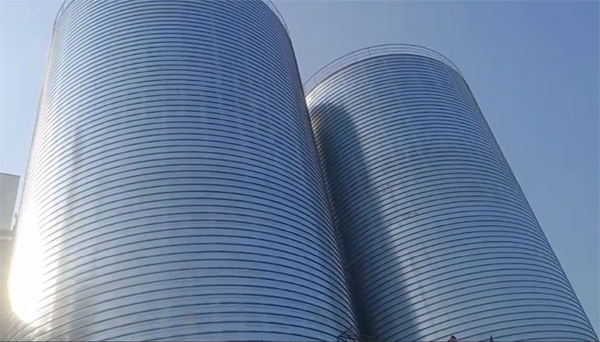 肥城2座混凝土高架卷板仓